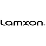 Lamxon Holding Ltd